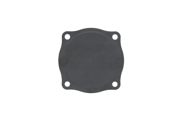 Dichtung Revisionsöffnung Steuerkette / Wasserpumpe